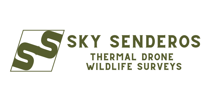 Sky Senderos